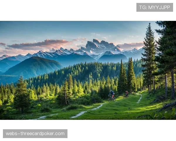 巴黎奥运山地车场地竣工,环保组织质疑赛道建设对森林生态影响 巴黎奥运山地车场地竣工,环保组织质疑赛道建设对森林生态影响